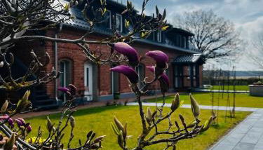 Ferienwohnung Zur Alten Tischlerei - Foto 2