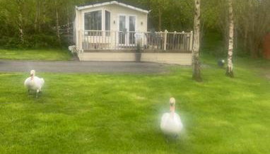 Hunter's Lodge Hot Tub Holiday, Northumberland - Foto 4