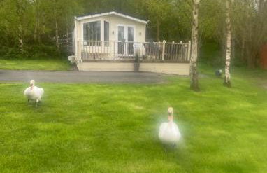 Hunter's Lodge Hot Tub Holiday, Northumberland - Photo 4