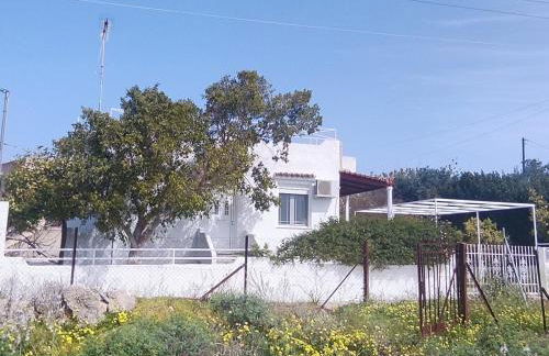 Leodi Place - Foto 2