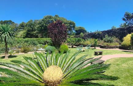 Quinta dos Sentidos Eco Nature Retreat in Azores - Photo 22