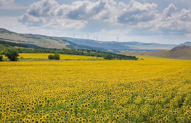 Bucovina & Transylvania Tour – 3 days - Photo 14