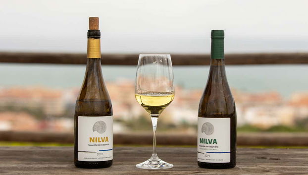 Wine Tour in Manilva - Foto 4