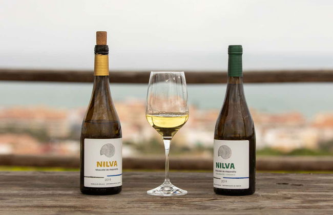 Wine Tour in Manilva - Foto 4