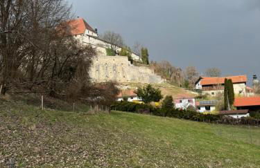 Greenhouse Apartment am Stadtplatz - Foto 5