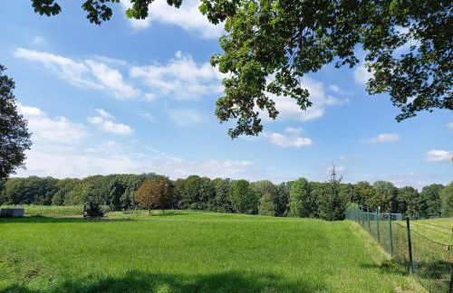 Bauernhof Sesterhenn - Foto 37