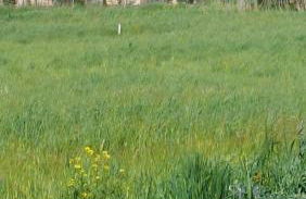 Molino della Tuoma - Foto 36