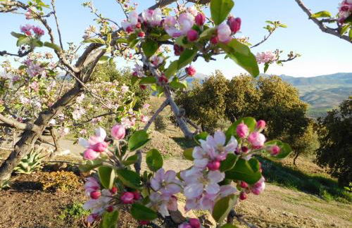 Casita Las Melosillas - Foto 28