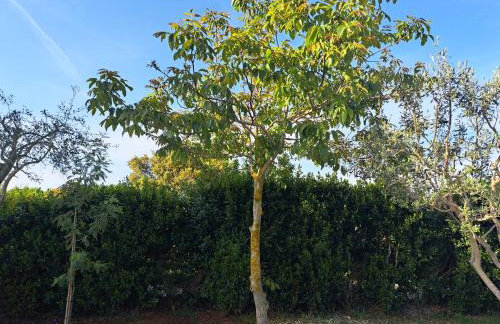 Apartman Melita - Foto 65