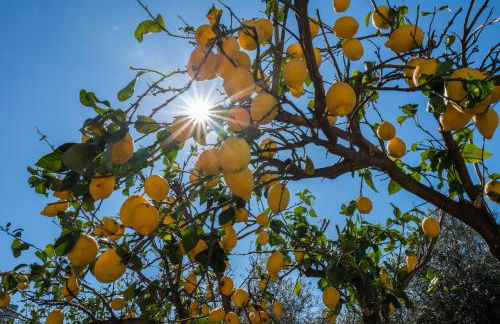 Casa Floriana - Foto 63