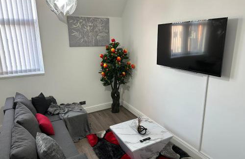 2 bedroom flat close to Manchester City, Manchester City stadium and Coop Arena - Foto 53