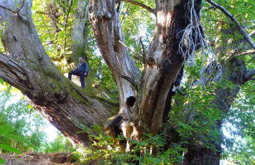 Apartamentos el Camino - Foto 13