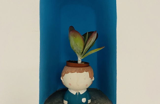 Bonaventura Holiday Home - Photo 8