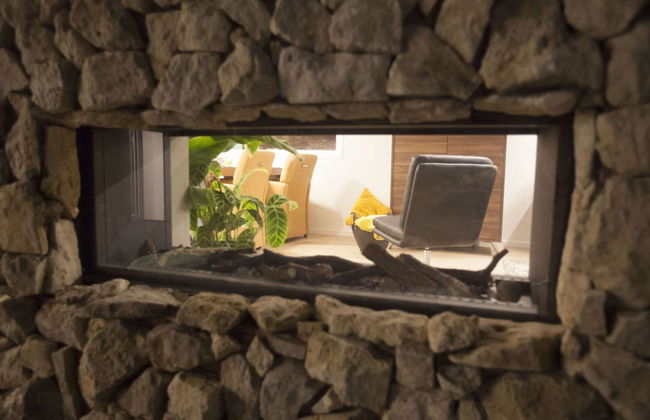 Cozy Garden Home w/ Fireplace - Photo 26