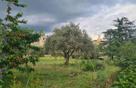 Cocon du Papillon à Lourmarin - Foto 29