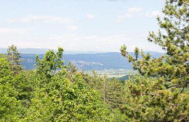 Apartment Tanja - Foto 15