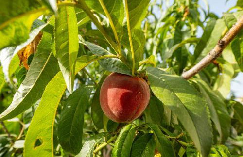 Casa Andrea - Foto 18