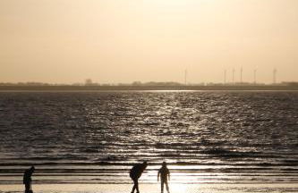 Ferienwohnung Monteurwohnung DeichBrandt - Foto 20