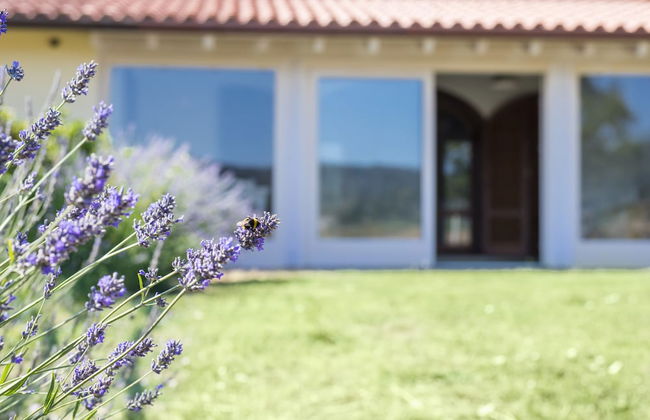 Agriturismo Terre di Castiglione - Foto 53