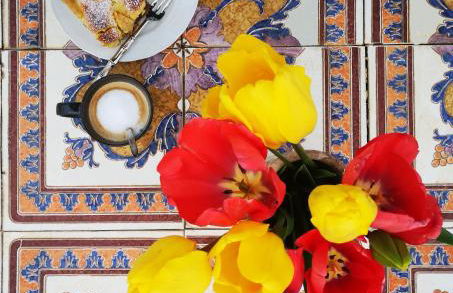 Gallo Fino - Foto 55