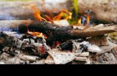 Otter Camp Private Riverside Glamping with Hot Tub - Foto 41