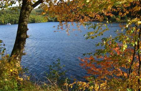 Ferienwohnung-Mediterran - Photo 23