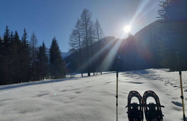 Secluded Apartment in Ferlach near Bodental Ski Lift - Photo 17
