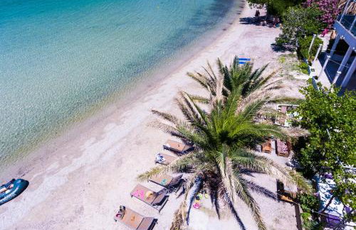 Apartments Dalmatin - Foto 36