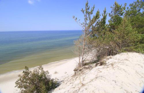 Domki pod Łebą - Photo 48