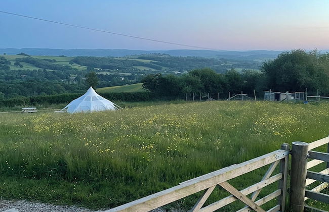 Nest and Nurture - Photo 16