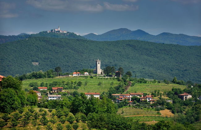 Pool & Sauna Villa Gizela - Foto 61