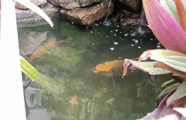 Recanto nobre - Estadia incrível - Photo 12