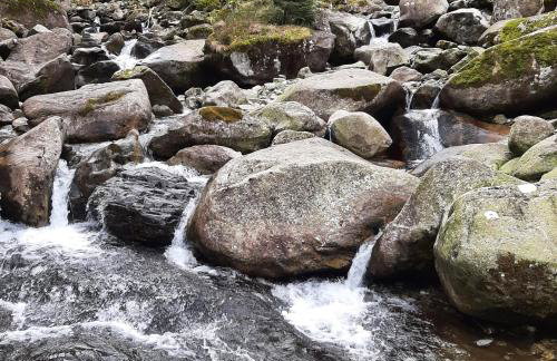 Studio relooké Le Grand Tétras 2 étoiles - Foto 19