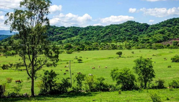 Praderas del valle del Medio