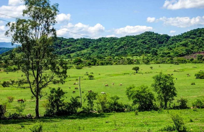 Tour de 3 días por los valles de Tarija - Foto 3