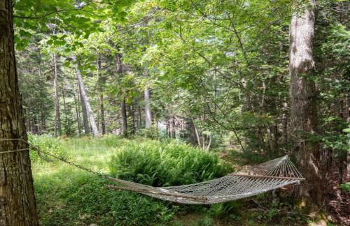 Secluded Cabin With Ocean Access - Foto 17