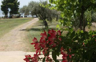 Villa Vlichos - Photo 4