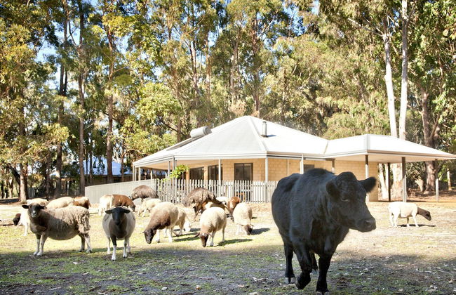 Margaret River Hideaway - Foto 1