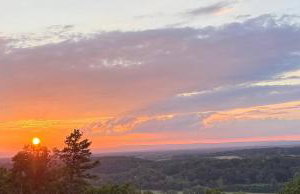 “Prima” - Foto 43