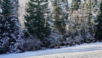 MARKT14 City Apartment Marktplatz Freundenstadt - Foto 2