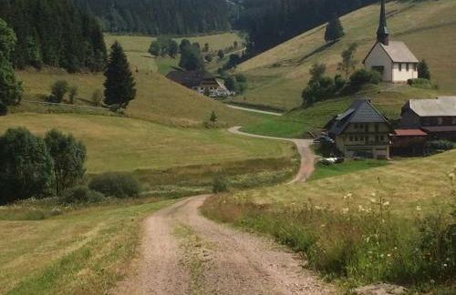 Schwarzwald geht immer Fewo 60 qm mit großem Südbalkon, WLAN und Magenta TV - Foto 30