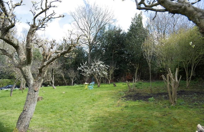a Quirky Garden Building in an Orchard - Photo 10