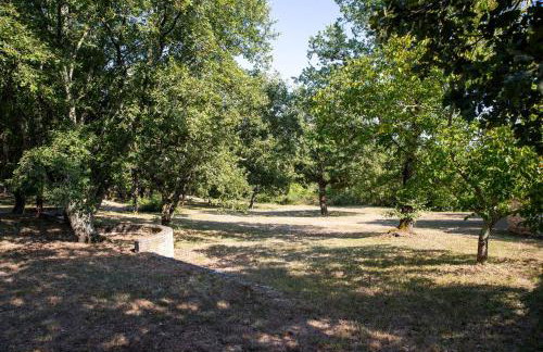 Apartments with parking space Sveti Lovrec, Central Istria - Sredisnja Istra - 24888 - Foto 7