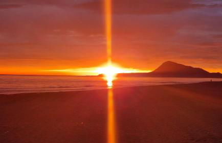 Hello Oliva Beach Alter - Photo 40