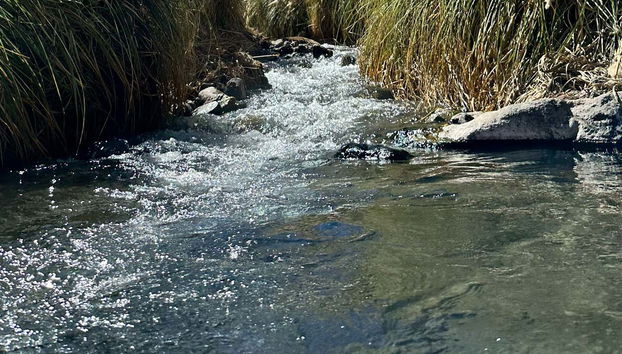 Excursión a las termas de Puritama - Foto 2