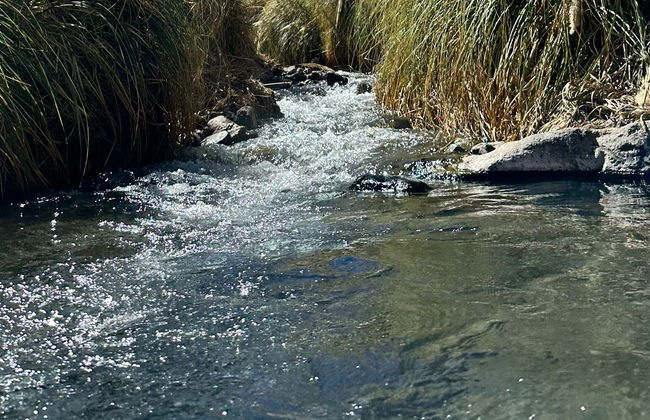 Puritama Hot Springs Trip - Photo 2