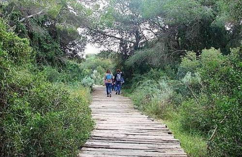 Apartamento Calipso - Photo 54