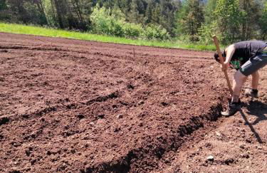 AGRITURISMO BORGO DAMOS - Foto 23