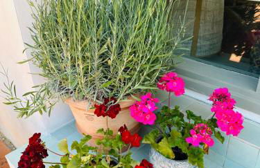 Villa Monteleone - Foto 48