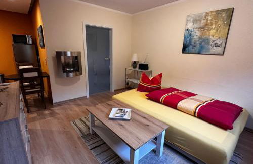 Weinrebe Oberhermsdorf nahe Dresden - Foto 11